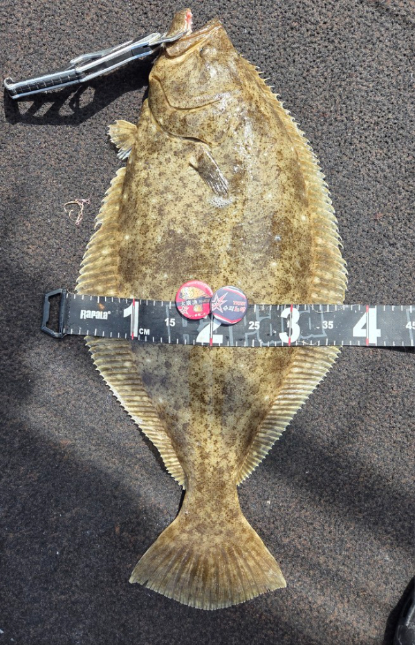 15284.jpg