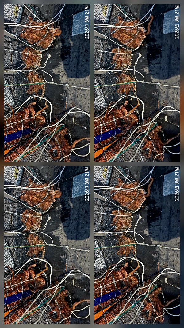 1000110337.jpg