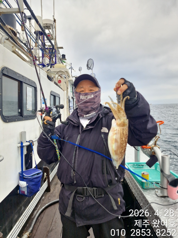제주왔어호_사진_20260429_19.jpg