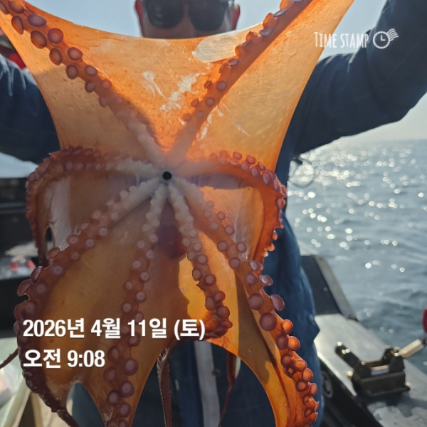 [크기변환]1775890817420.jpg