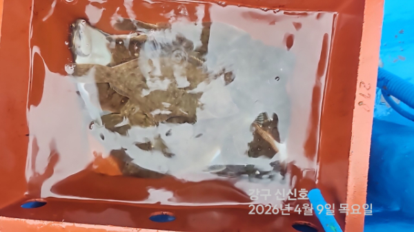 신신낚시 강구점 신신호_사진_20260409_18.jpg