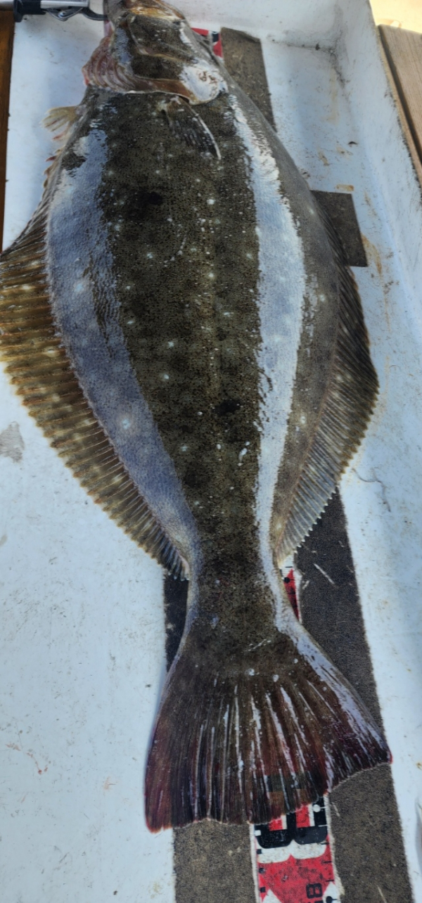 예지퀸호 농어외수질&어초낚시 경기인천권_사진_20260430_6.jpg