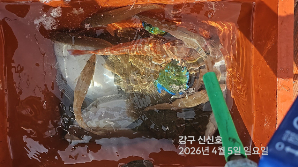 신신낚시 강구점 신신호_사진_20260405_20.jpg