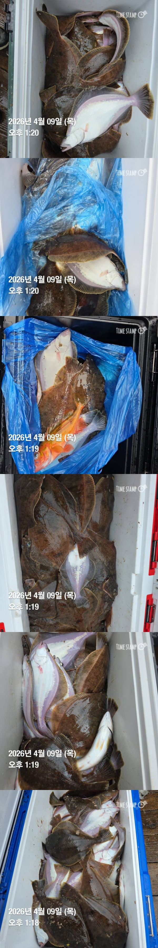 사진3.jpg