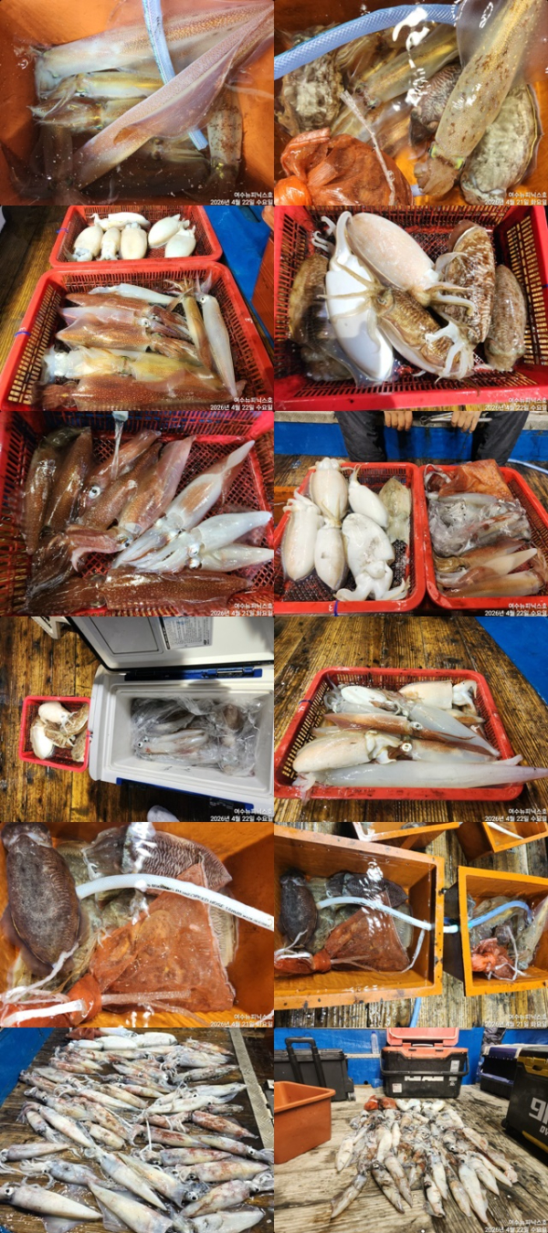 4월22일갑한치 (5)-tile.jpg