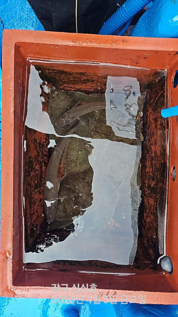 신신낚시 강구점 신신호_사진_20260403_18.jpg