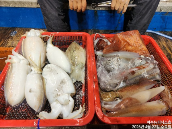 4월22일갑한치 (61).jpg