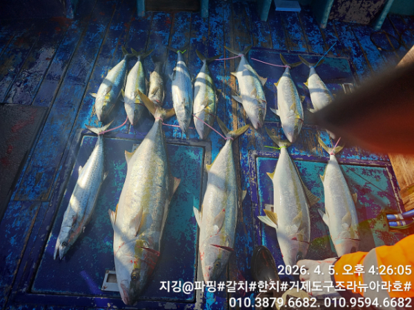 거제도 구조라  뉴아라호 (지깅, 파핑,한치,갈치,타이바라 전문)_사진_20260406_1.jpg