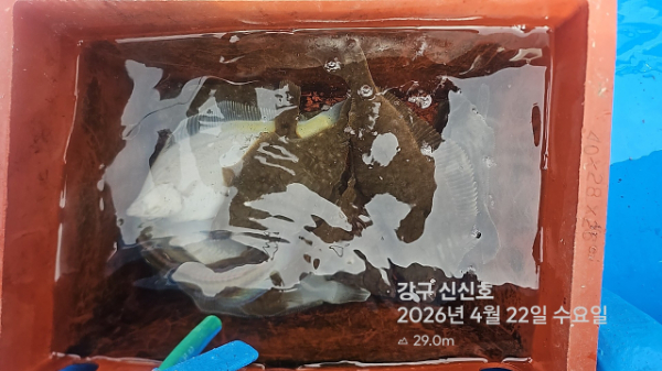 신신낚시 강구점 신신호_사진_20260422_14.jpg