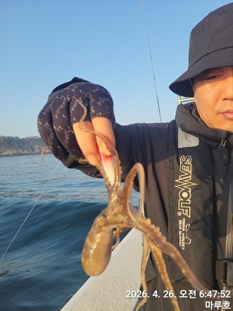 KakaoTalk_20260426_172836835_06.jpg