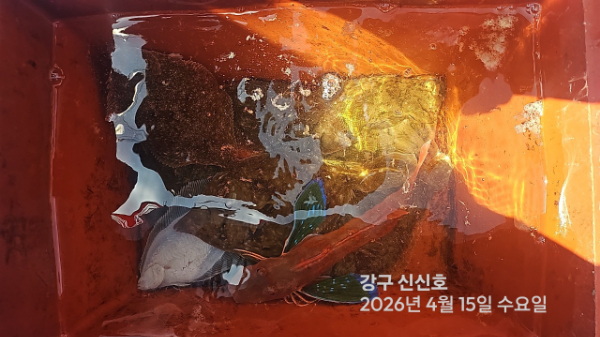 신신낚시 강구점 신신호_사진_20260415_18.jpg