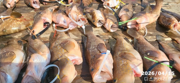 bandicam 2026-04-16 14-20-55-968.jpg