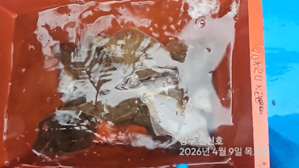 신신낚시 강구점 신신호_사진_20260409_15.jpg