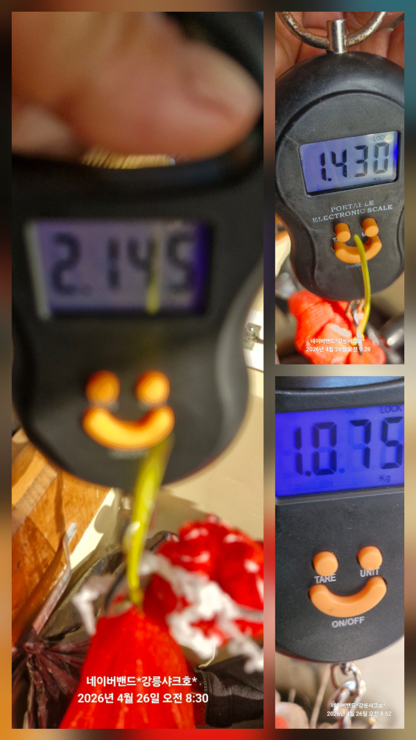 20260426_144643.jpg