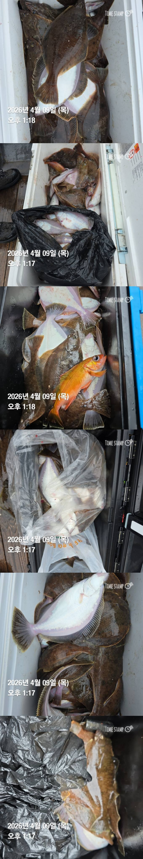사진4.jpg