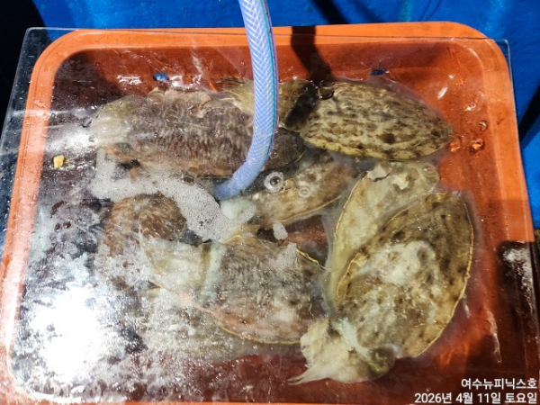 4월12일갑한 (34).jpg