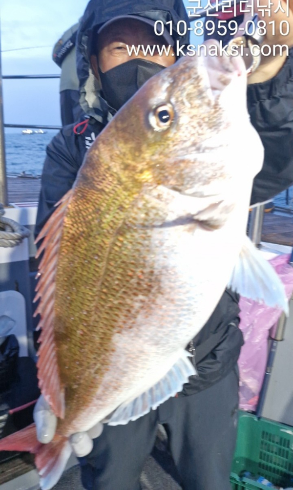 자른참돔 조명섭.jpg