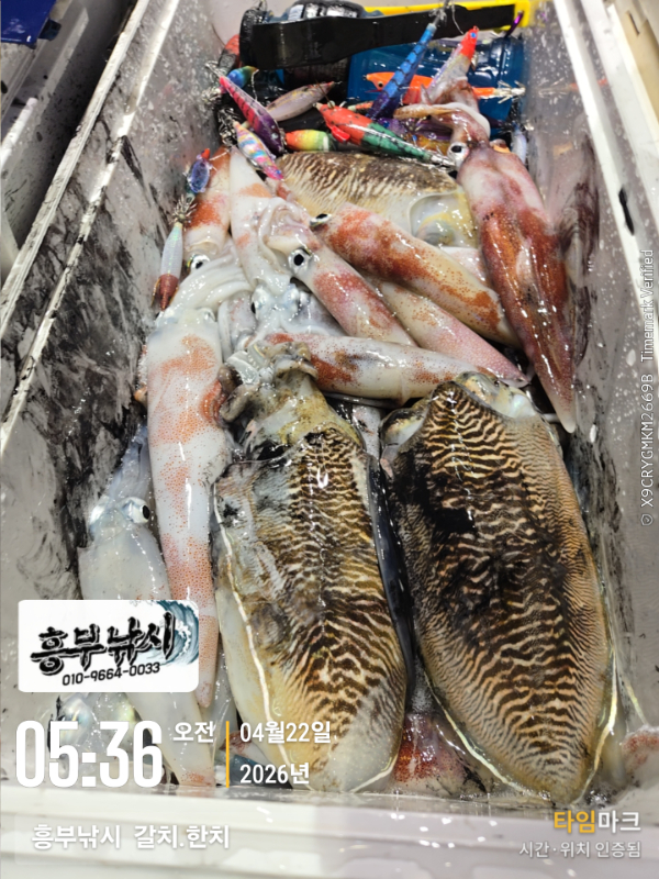 2026-04-22 05.36.46__(-흥부낚시  갈치.한치).jpg