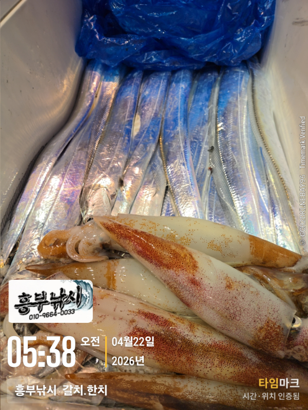 2026-04-22 05.38.14__(-흥부낚시  갈치.한치).jpg