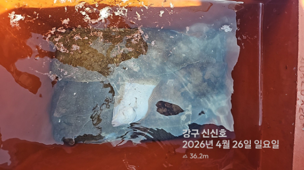 신신낚시 강구점 신신호_사진_20260426_13.jpg
