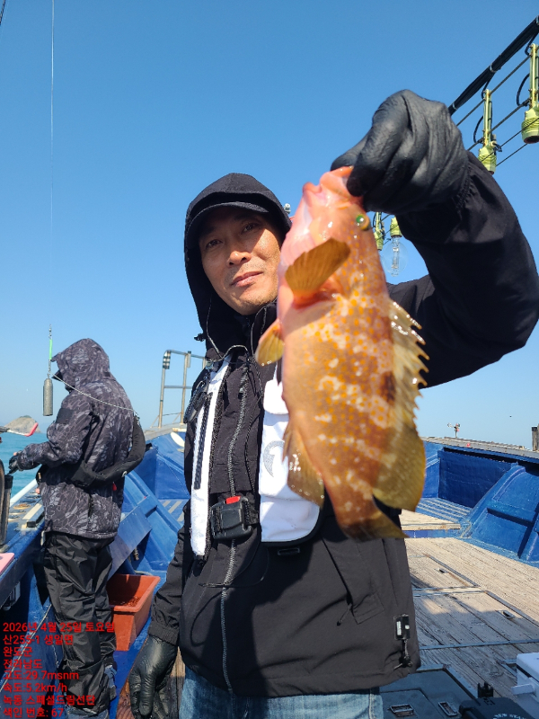 쎄븐피싱클럽(선상 버스출조전문)_사진_20260425_19.jpg