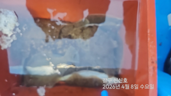 신신낚시 강구점 신신호_사진_20260408_15.jpg