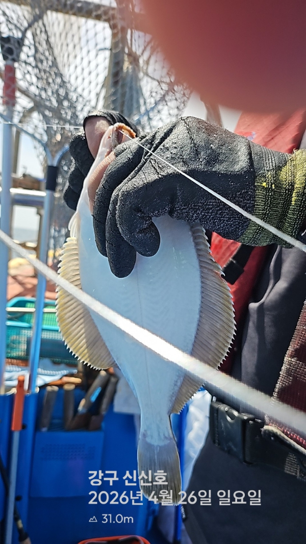 신신낚시 강구점 신신호_사진_20260426_11.jpg