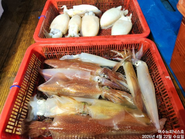 4월22일갑한치 (69).jpg