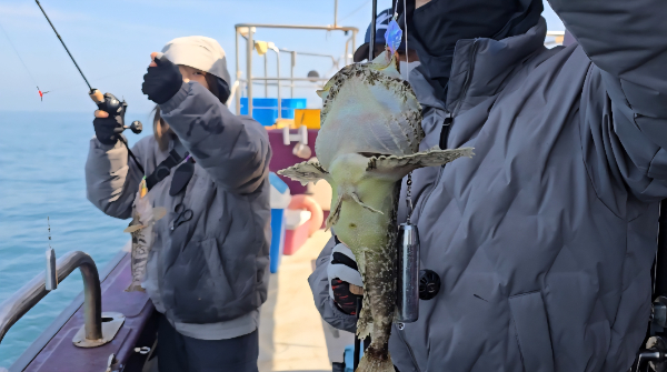 Screenshot_20260412_143247_Video Player.jpg