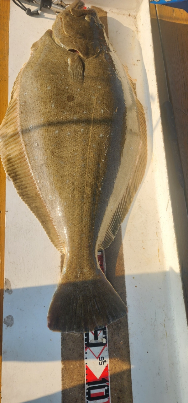 예지퀸호 농어외수질&어초낚시 경기인천권_사진_20260430_3.jpg