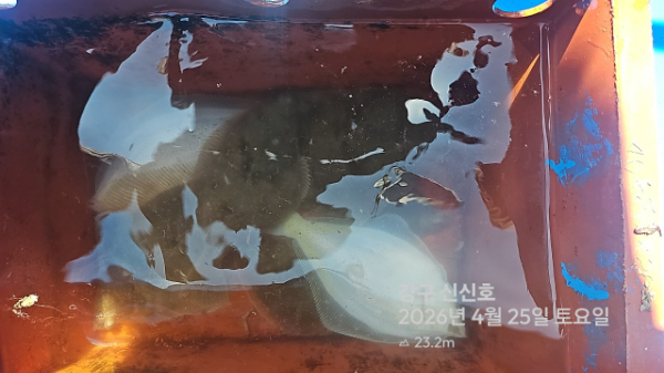 신신낚시 강구점 신신호_사진_20260425_13.jpg