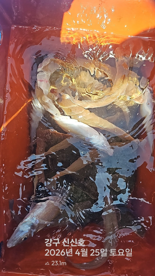 신신낚시 강구점 신신호_사진_20260425_10.jpg