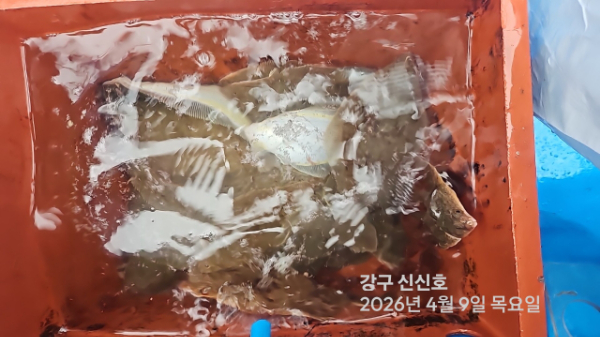 신신낚시 강구점 신신호_사진_20260409_14.jpg