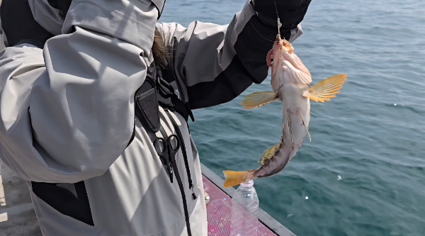 Screenshot_20260412_143021_Video Player.jpg