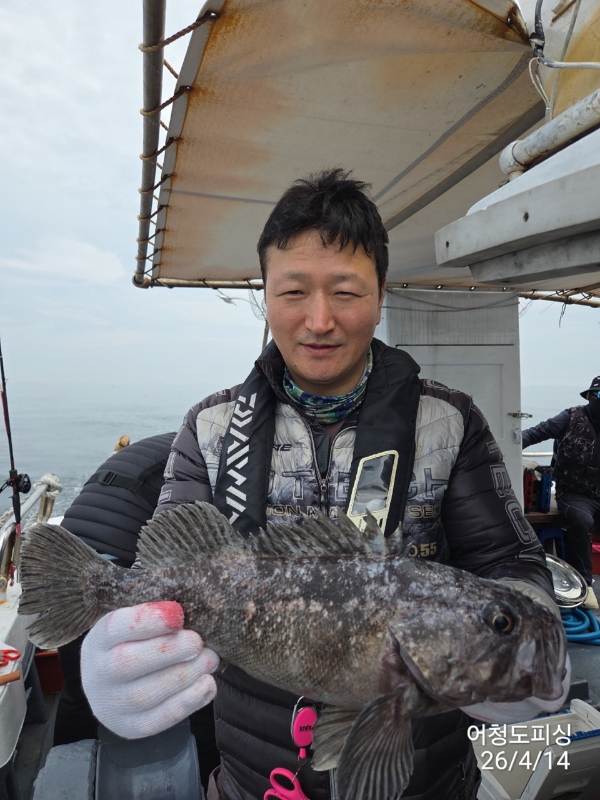 최강피싱 063.463.0800_사진_20260414_15.jpg