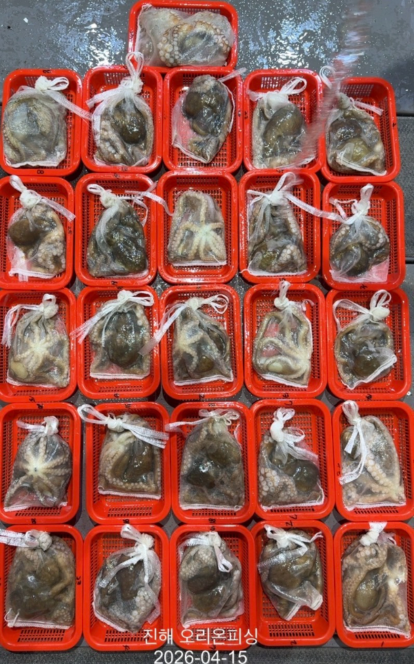 KakaoTalk_20260417_101302663_05 (1).jpg