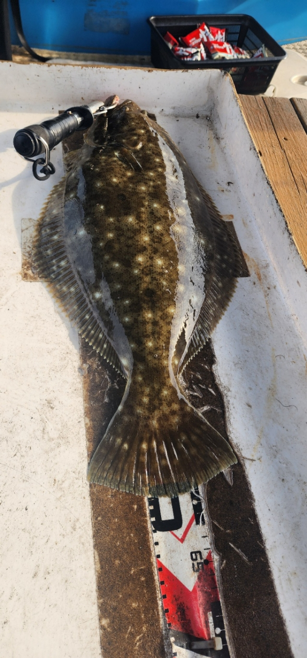 예지퀸호 농어외수질&어초낚시 경기인천권_사진_20260429_6.jpg
