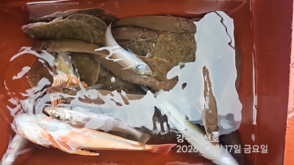 신신낚시 강구점 신신호_사진_20260417_9.jpg