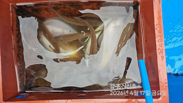 신신낚시 강구점 신신호_사진_20260417_17.jpg