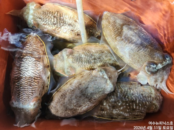 4월12일갑한 (37).jpg