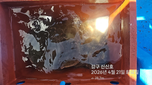 신신낚시 강구점 신신호_사진_20260421_20.jpg