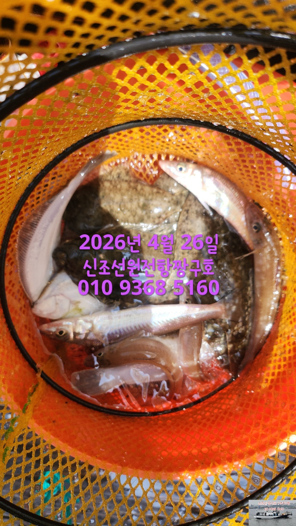KakaoTalk_20260430_114444318_02.jpg