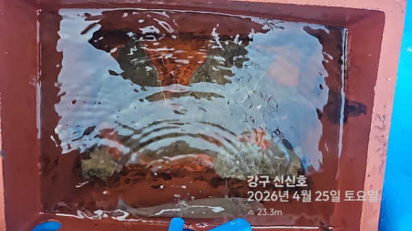 신신낚시 강구점 신신호_사진_20260425_16.jpg