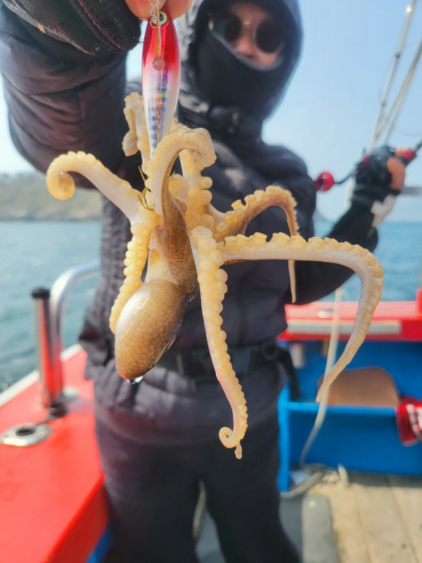 군산 선상낚시, 바다낚시 출조 전문 ☆서군산낚시☆_사진_20260411_12.jpg