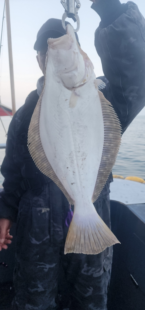 예지퀸호 농어외수질&어초낚시 경기인천권_사진_20260430_9.jpg