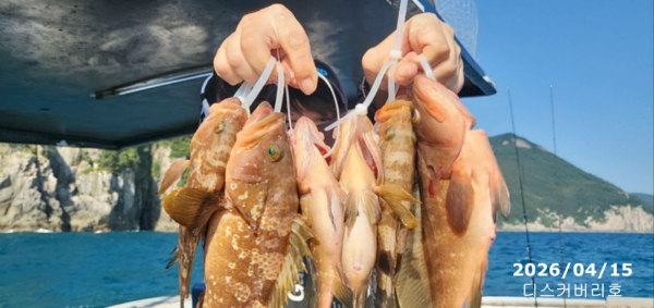 bandicam 2026-04-16 14-40-04-686.jpg