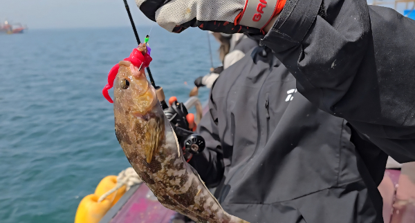 Screenshot_20260412_143814_Video Player.jpg