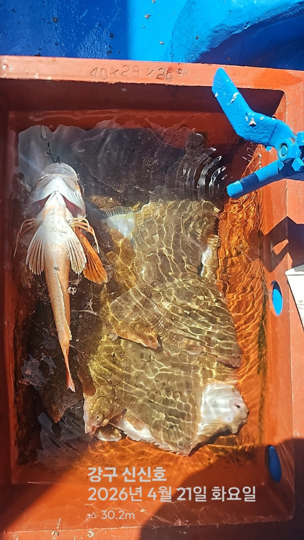 신신낚시 강구점 신신호_사진_20260421_9.jpg