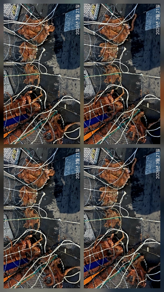 1000110340.jpg