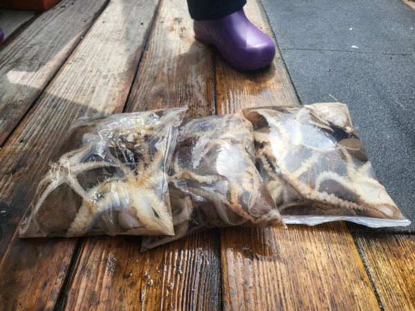 군산 선상낚시, 바다낚시 출조 전문 ☆서군산낚시☆_사진_20260411_3.jpg